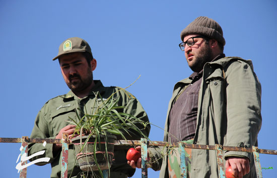 دانلود فیلم سونسوز